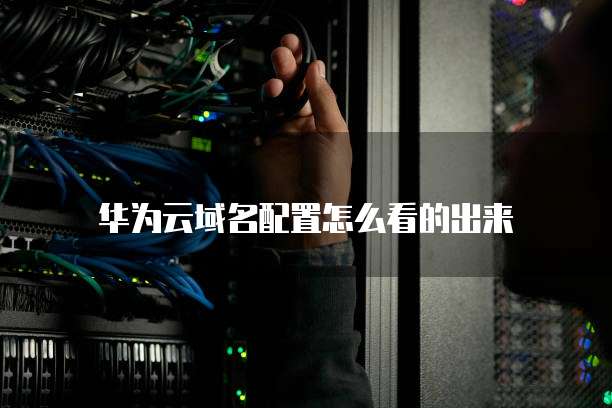 华为云域名配置怎么看的出来