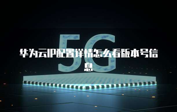 华为云IP配置详情怎么看版本号信息