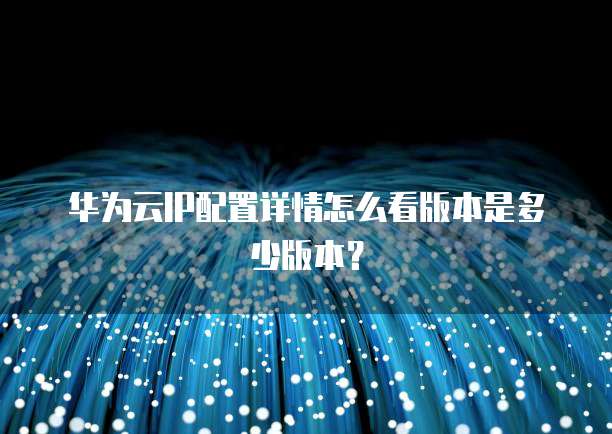 华为云IP配置详情怎么看版本是多少版本?