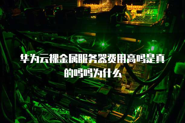 华为云裸金属服务器费用高吗是真的吗吗为什么