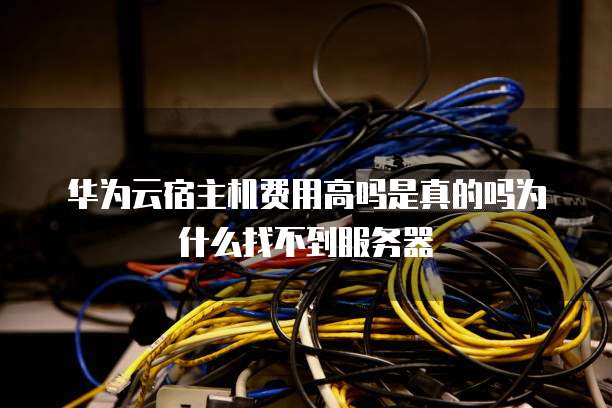 华为云宿主机费用高吗是真的吗为什么找不到服务器