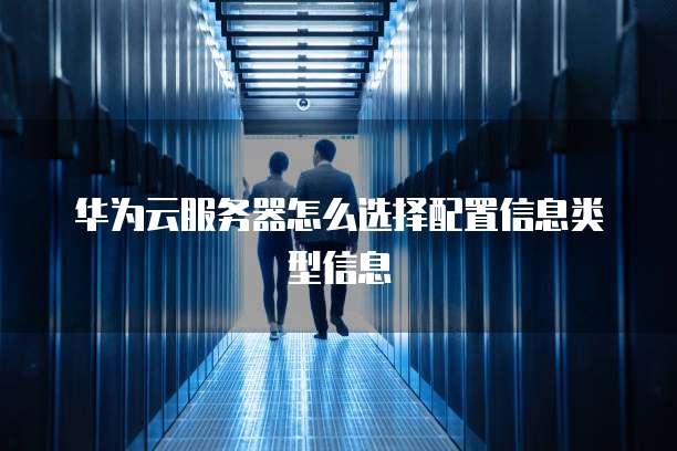 华为云服务器怎么选择配置信息类型信息