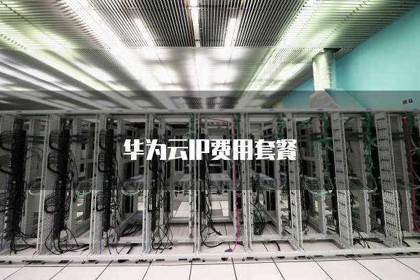 华为云IP费用套餐