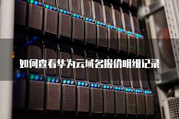 如何查看华为云域名报价明细记录