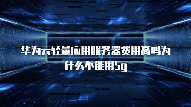 华为云轻量应用服务器费用高吗为什么不能用5g