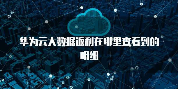 华为云大数据返利在哪里查看到的明细