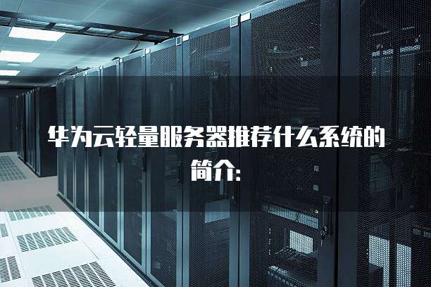 华为云轻量服务器推荐什么系统的简介: