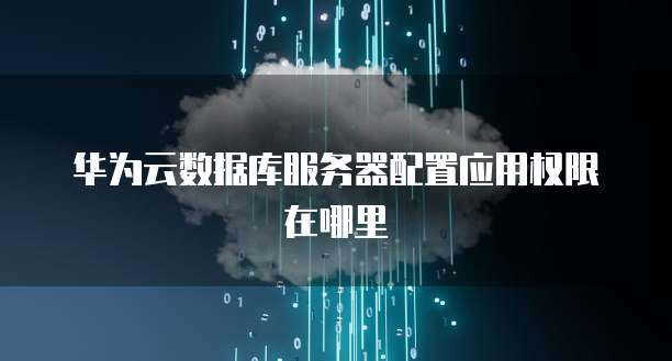 华为云数据库服务器配置应用权限在哪里