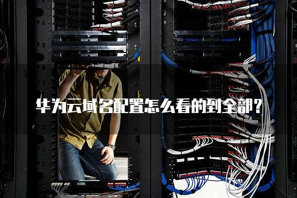 华为云域名配置怎么看的到全部?