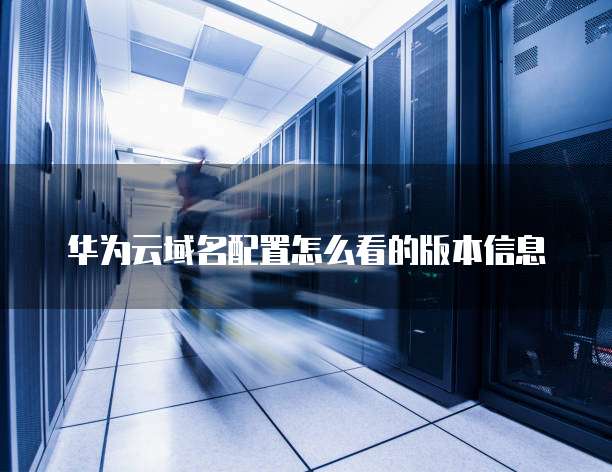 华为云域名配置怎么看的版本信息