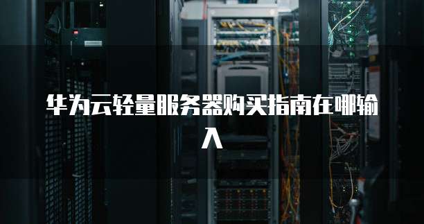 华为云轻量服务器购买指南在哪输入