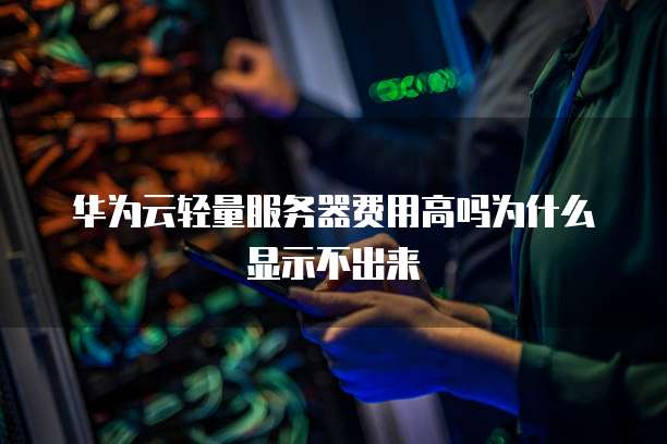 华为云轻量服务器费用高吗为什么显示不出来