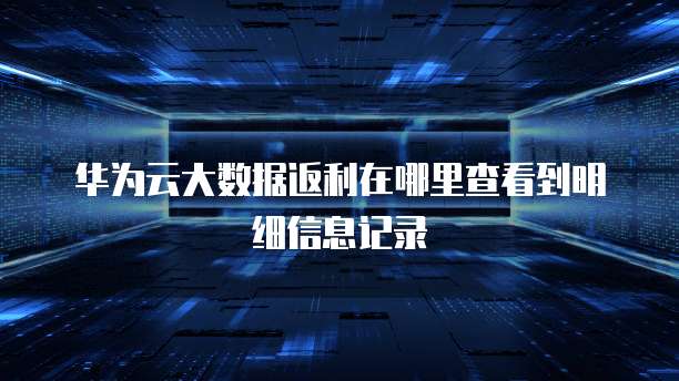 华为云大数据返利在哪里查看到明细信息记录
