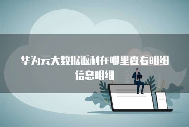 华为云大数据返利在哪里查看明细信息明细