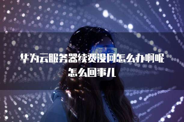 华为云服务器续费没网怎么办啊呢怎么回事儿