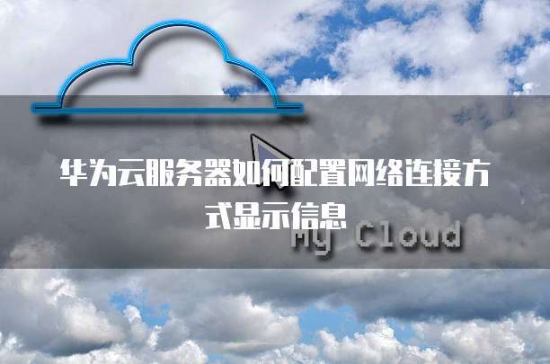 华为云服务器如何配置网络连接方式显示信息