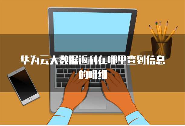 华为云大数据返利在哪里查到信息的明细