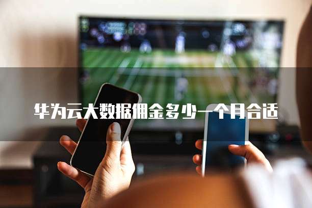 华为云大数据佣金多少一个月合适