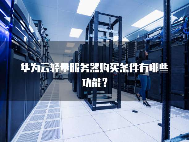华为云轻量服务器购买条件有哪些功能?