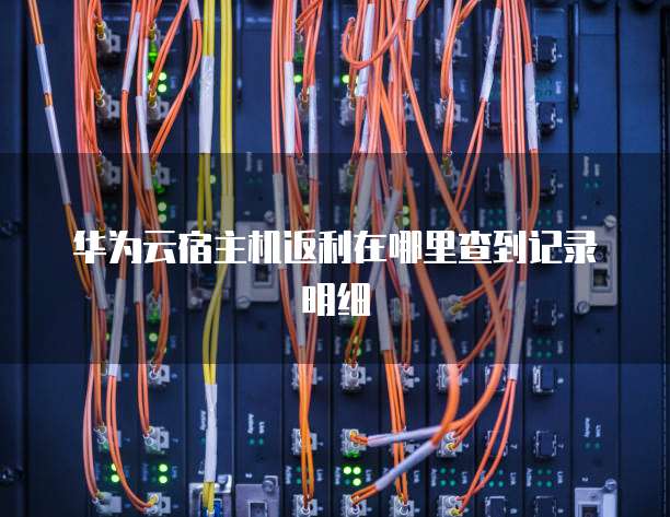 华为云宿主机返利在哪里查到记录明细