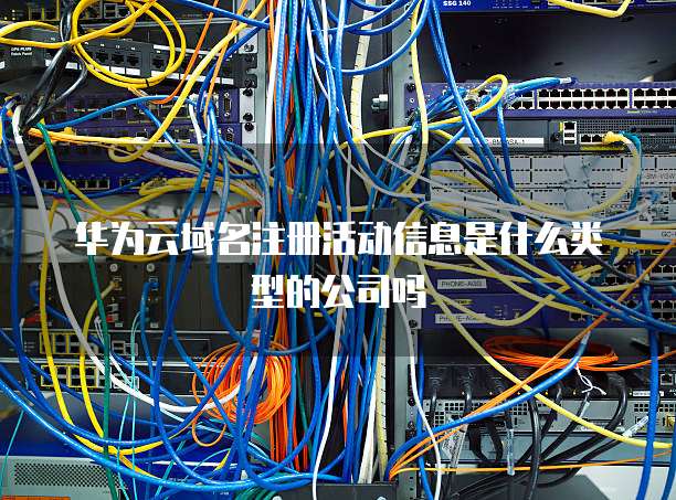 华为云域名注册活动信息是什么类型的公司吗