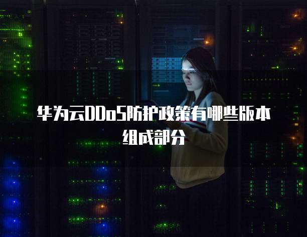 华为云DDoS防护政策有哪些版本组成部分