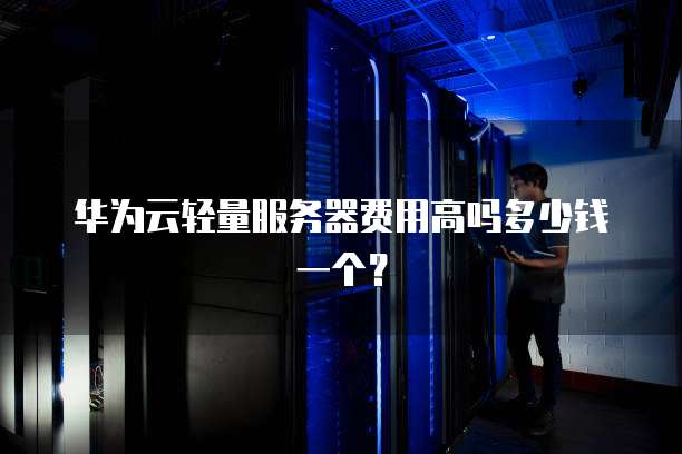 华为云轻量服务器费用高吗多少钱一个？