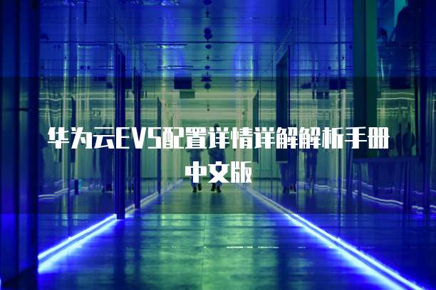 华为云EVS配置详情详解解析手册中文版