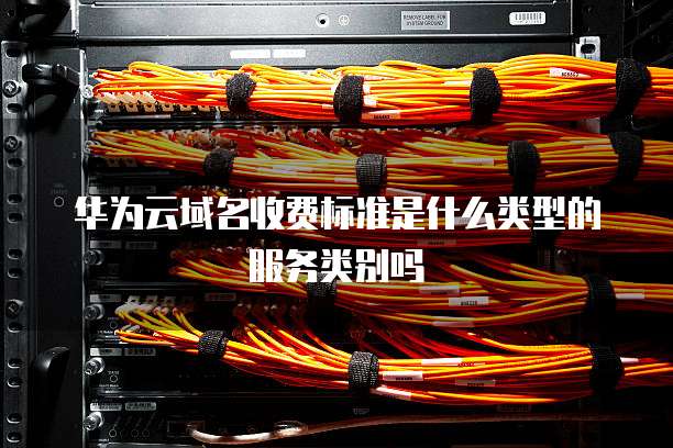 华为云域名收费标准是什么类型的服务类别吗