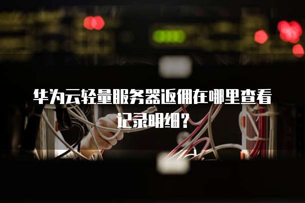 华为云轻量服务器返佣在哪里查看记录明细?