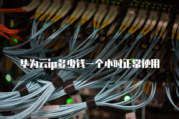 华为云ip多少钱一个小时正常使用