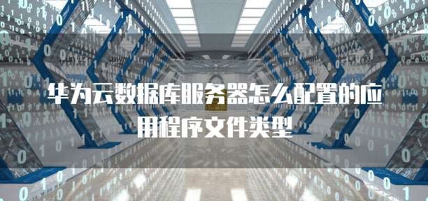 华为云数据库服务器怎么配置的应用程序文件类型