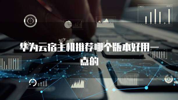 华为云宿主机推荐哪个版本好用一点的
