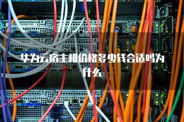 华为云宿主机价格多少钱合适吗为什么