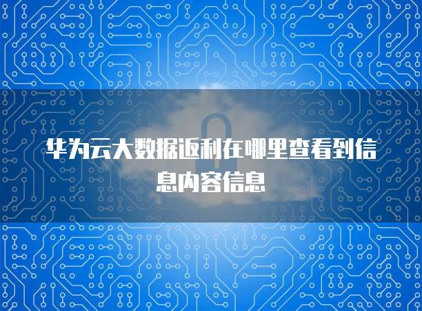 华为云大数据返利在哪里查看到信息内容信息