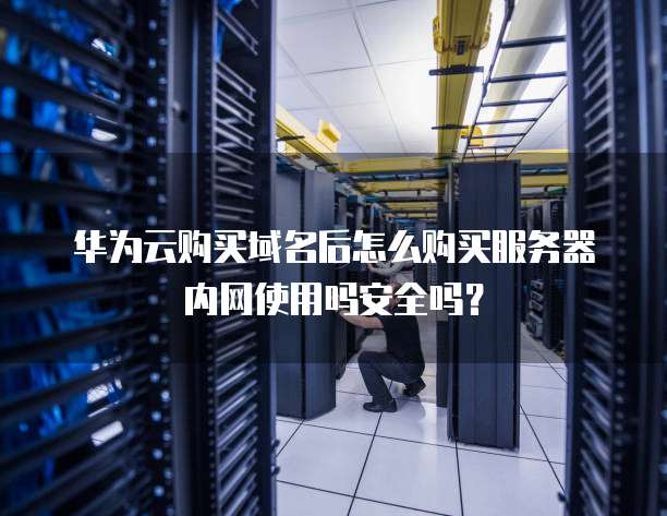 华为云购买域名后怎么购买服务器内网使用吗安全吗?