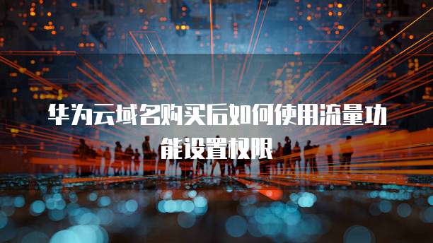 华为云域名购买后如何使用流量功能设置权限