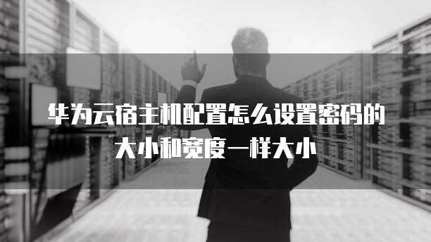 华为云宿主机配置怎么设置密码的大小和宽度一样大小