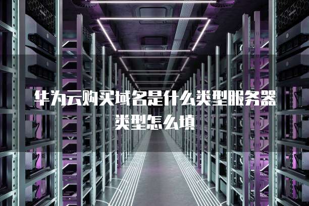 华为云购买域名是什么类型服务器类型怎么填