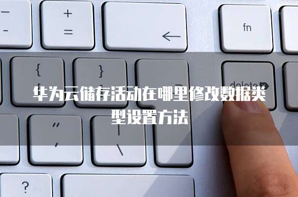 华为云储存活动在哪里修改数据类型设置方法