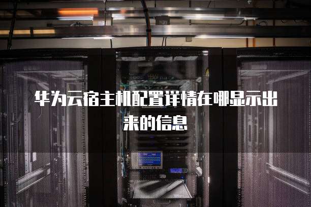 华为云宿主机配置详情在哪显示出来的信息