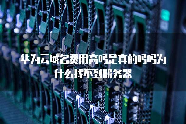 华为云域名费用高吗是真的吗吗为什么找不到服务器