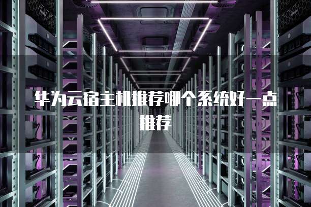 华为云宿主机推荐哪个系统好一点推荐