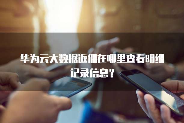 华为云大数据返佣在哪里查看明细记录信息?