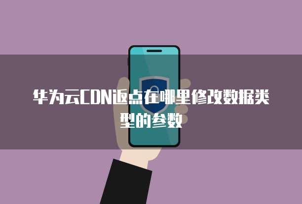华为云CDN返点在哪里修改数据类型的参数