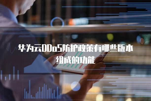 华为云DDoS防护政策有哪些版本组成的功能