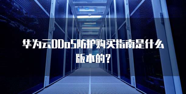 华为云DDoS防护购买指南是什么版本的？
