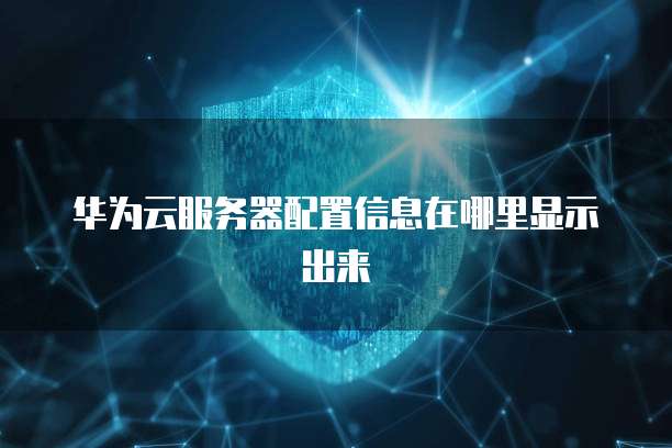 华为云服务器配置信息在哪里显示出来