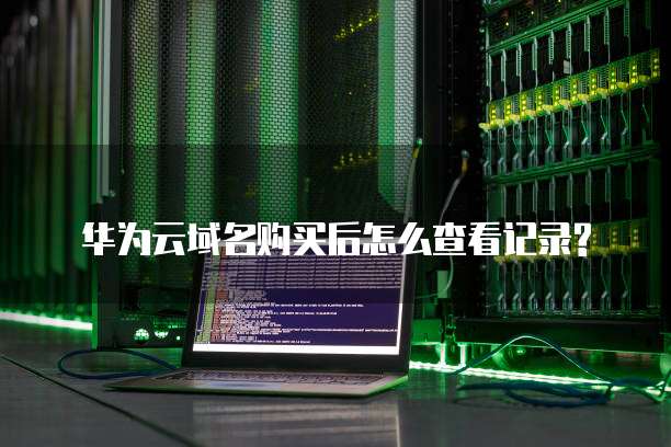华为云域名购买后怎么查看记录?