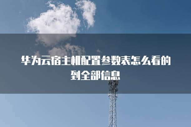 华为云宿主机配置参数表怎么看的到全部信息